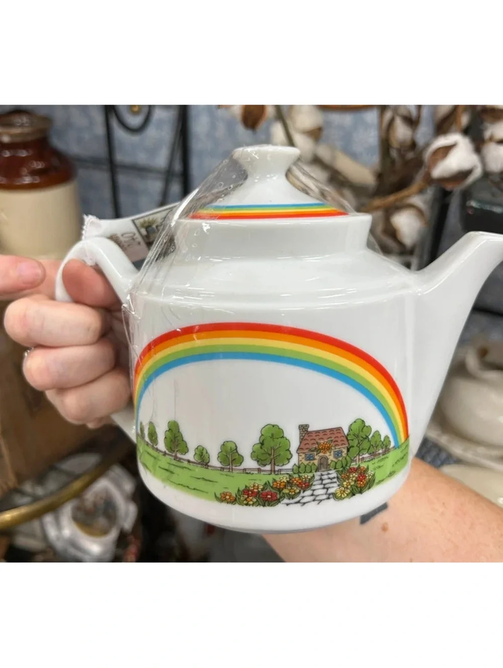 Rainbow teapot